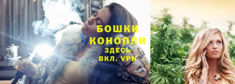 Бошки марихуана OG Kush  Выборг 